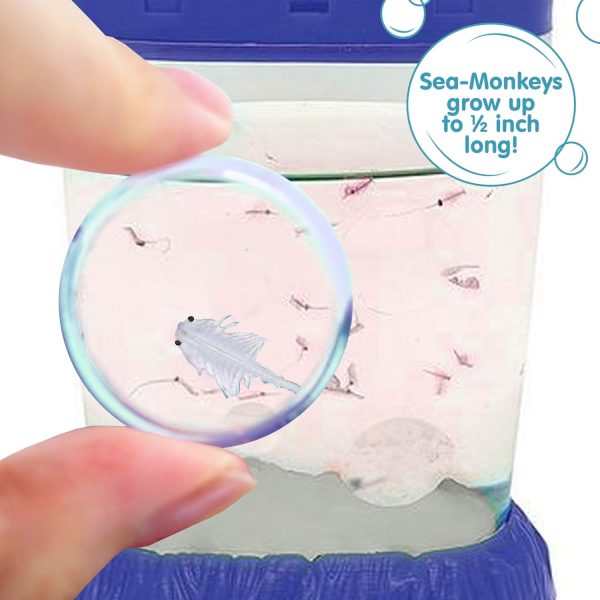 Sea-Monkeys Magiquarium - World's Easiest. No-Mess Pet - Grow Your Own Pet in a Light-Up Aquarium - Ages 6 and Up - One Kit